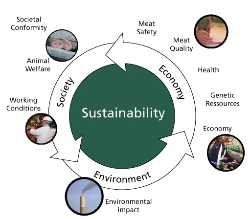Sustainability Chart