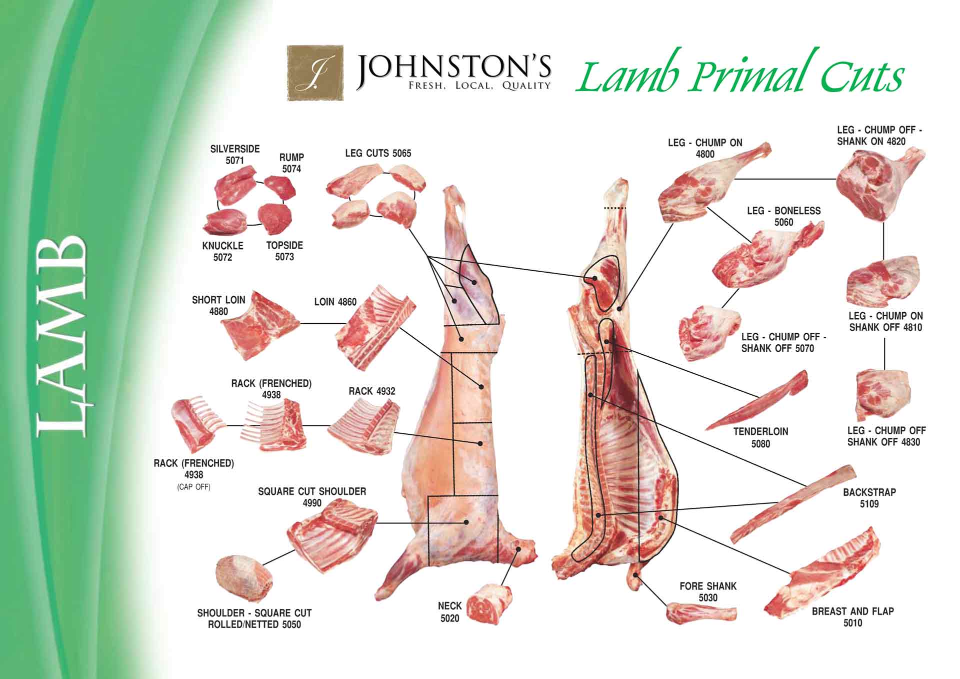 Custom Lamb Instructions & Forms Johnston's