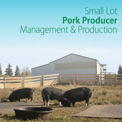 bc_small_lot_pork_producer_cropped